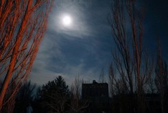 Rosjanie napromieniowani w Czerwonym Lesie w Czarnobylu? 'Samobójstwo'