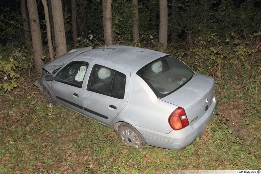 Kierowca omijał zwierzę. Wylądował w lesie