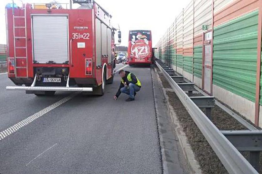 Makabryczny wypadek Polskiego Busa. Są ofiary