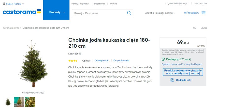 Choinka jodła kaukaska