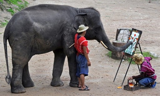 THAILAND - ELEPHANT - TOURISM