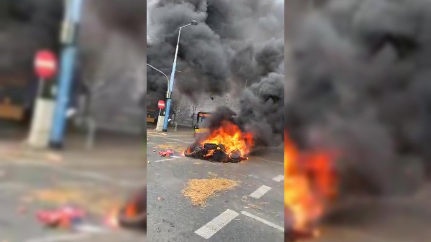 Martwe świnie i spalone opony w centrum Warszawy. Miasto sparaliżowane