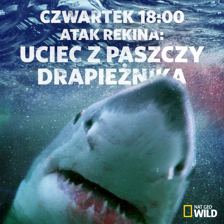 Tydzień z rekinami: "Atak rekina: uciec z paszczy drapieżnika" w czwartek 24 sierpnia w Nat Geo Wild