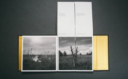 "Echo" Maksymiliana i Magdaleny Rigamontich z recenzją w "New York Timesie"