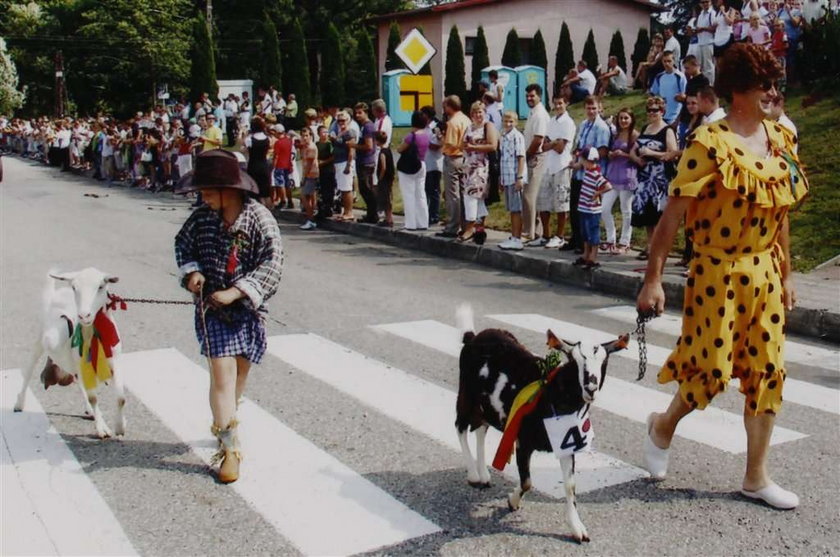 Kozy pięcioraczki