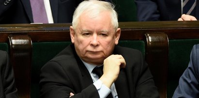 „Precz z kaczorem dyktatorem”. Co odpowiedział prezes?