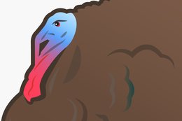 10 sad, sad facts about your Thanksgiving turkey