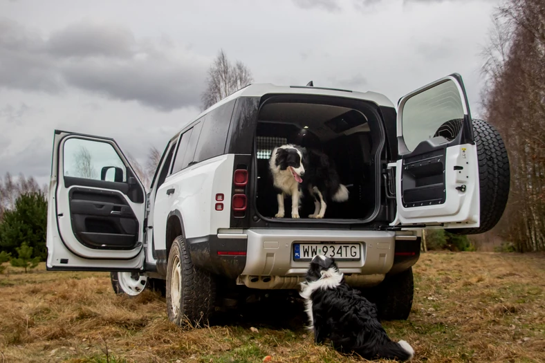 Land Rover Defender Hard Top