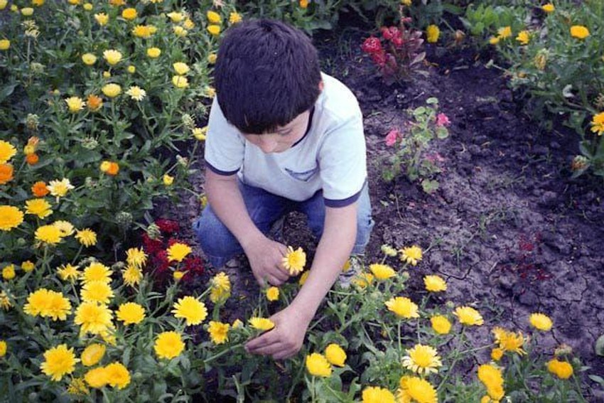 Joaquín was born while his father was in prison | Foto: Andrea Casamento