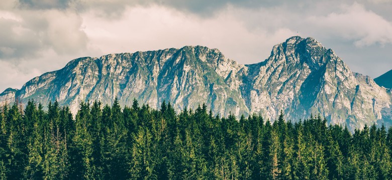 Tę atrakcyjną działkę z widokiem na Giewont wydzierżawisz od wojska