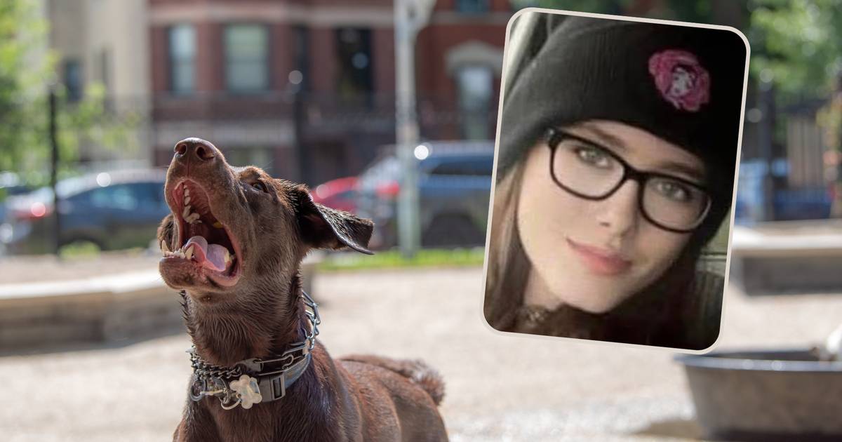 Znalazł 19-letnią córkę na podłodze w sypialni. Zaatakował ją ich pies. To rasa "kanapowa"