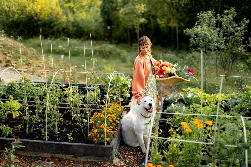Co będzie modne w ogrodach w 2026 roku? Najnowsze trendy ogrodowe