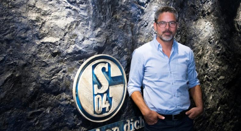 At the coalface: having steered former club Huddersfield to the Premier League, David Wagner has his work cut out turning around the fortunes of his new Bundesliga team Schalke 04.