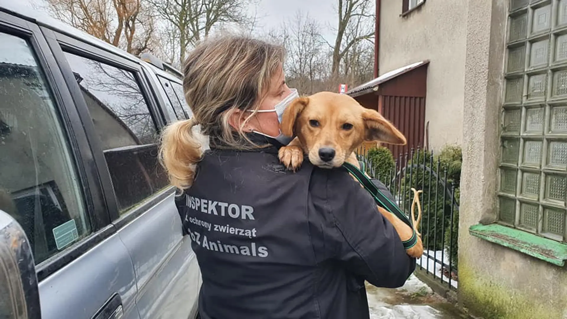 Dziś są szczęśliwe - nie uwierzysz, przez co przeszły te zwierzęta