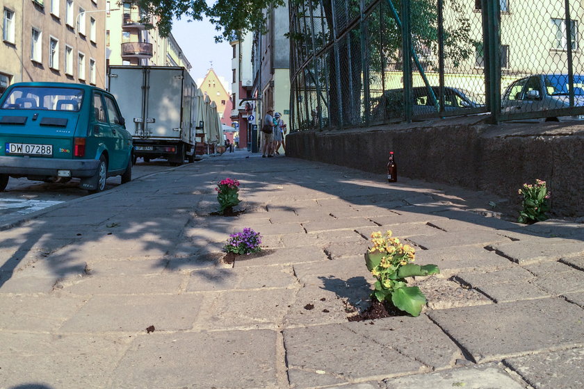 Sadzili kwiatki w chodnikowych dziurach
