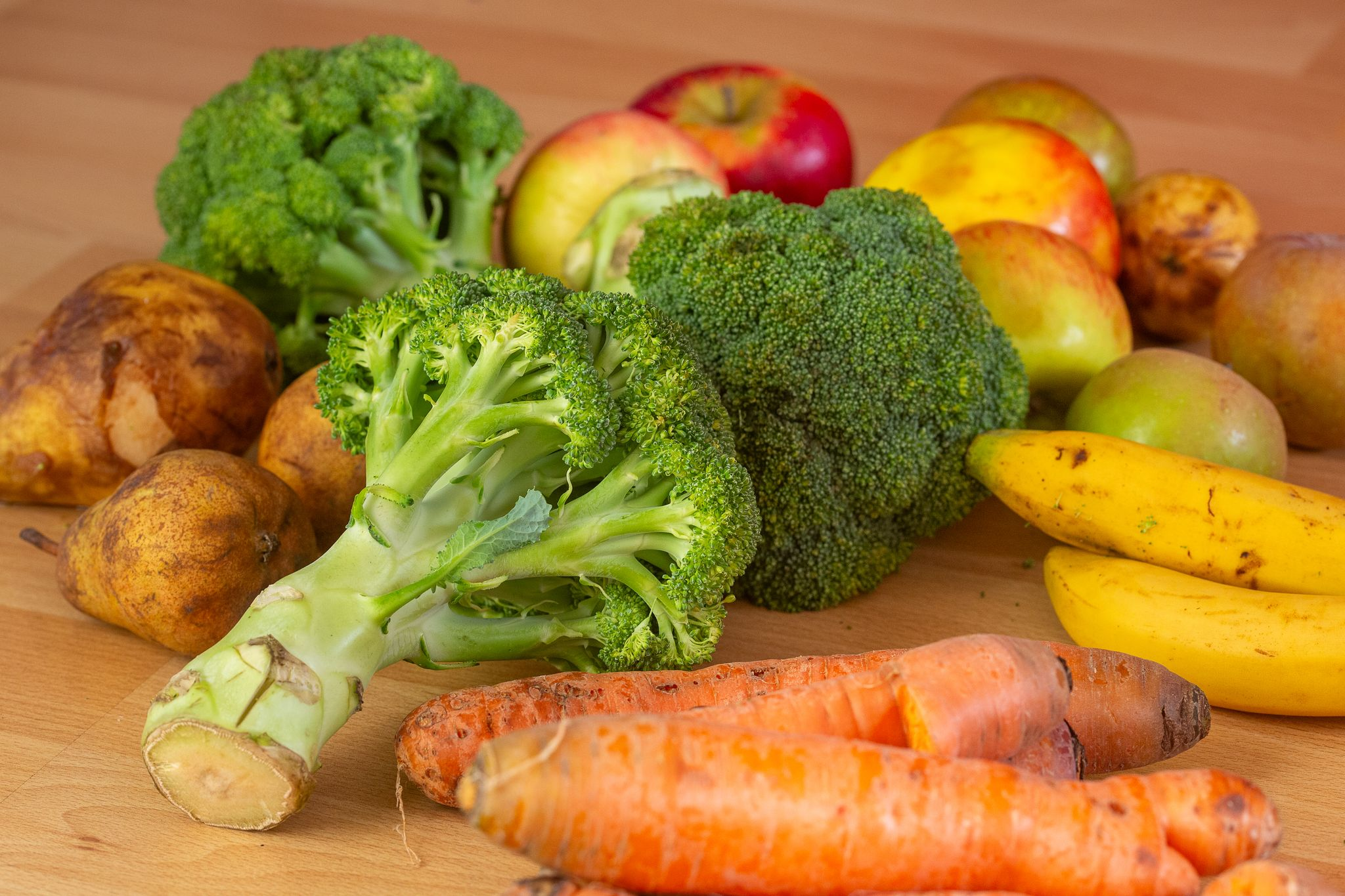 SPD fordert: Containern legalisieren statt Millionen Tonnen wegwerfen