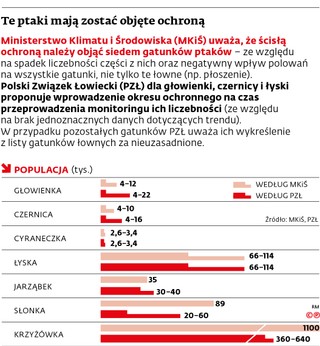 Te ptaki mają zostać objęte ochroną