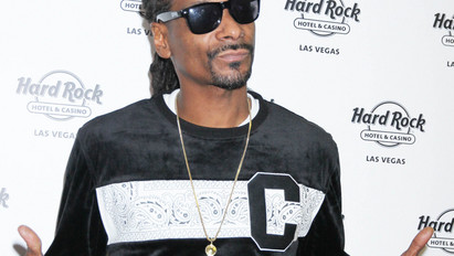 Rengetegen sérültek meg a koncertjén: tizenheten perelték be Snoop Doggot - megúszta