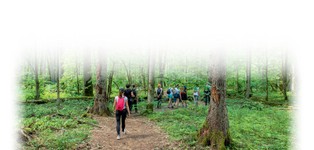 "Las to nie plantacja desek". Oto ludzie, którzy zakładają własne lasy, aby przetrwały kilka pokoleń