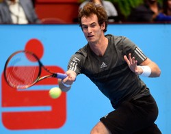 Murray i Ferrer w ćwierćfinale turnieju ATP w Wiedniu