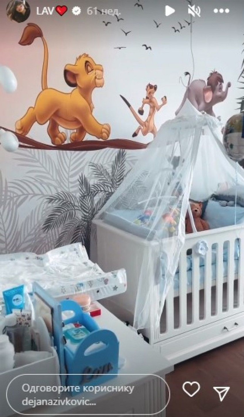 Dejana Živković dom