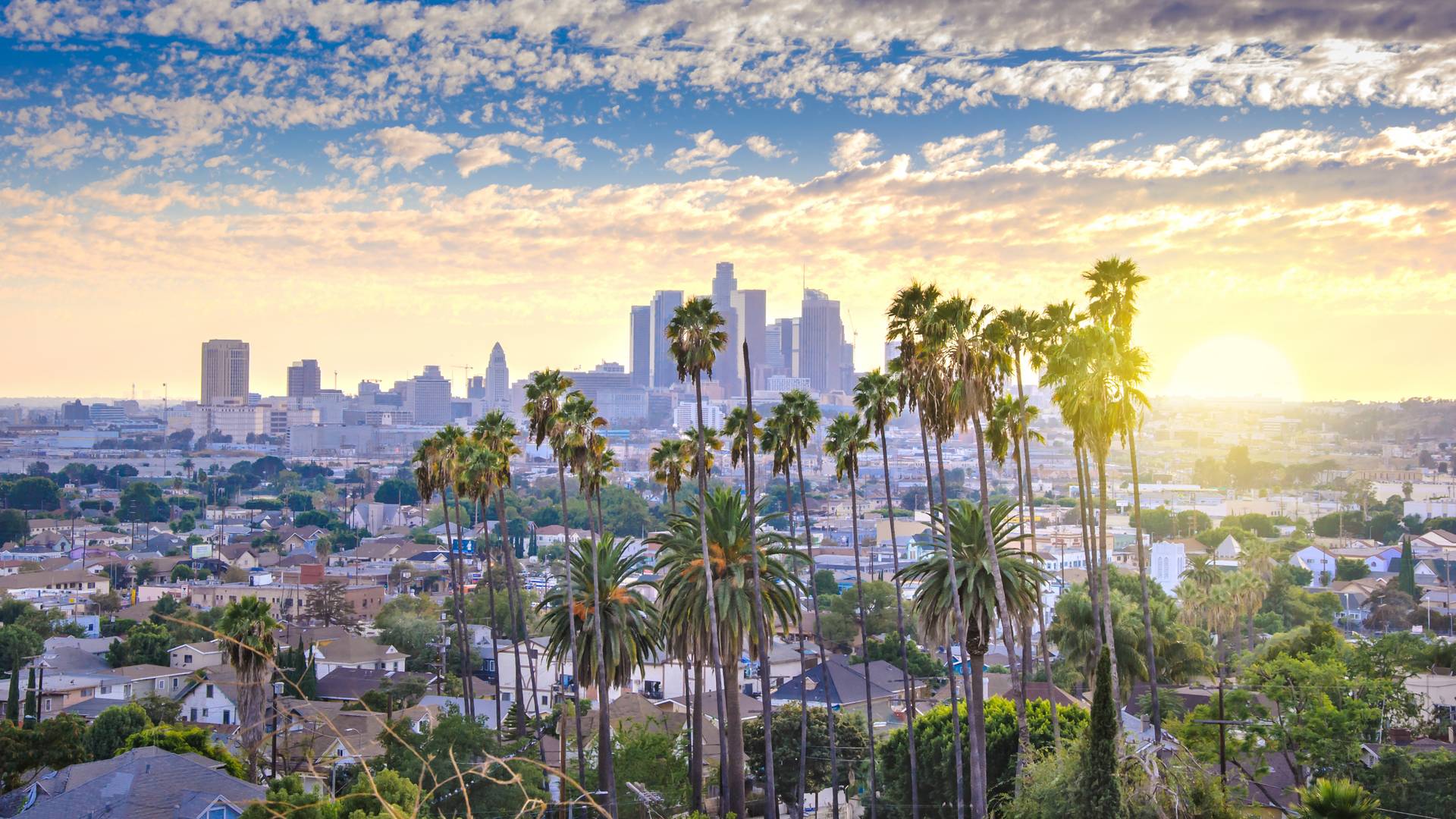 Spełnij amerykański sen po zniesieniu wiz - w 10 dni od Sacramento po Wzgórza Hollywood