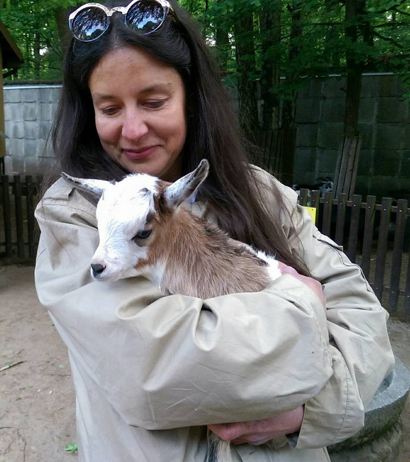 Złodziej koziołka z poznańskiego Zoo w rękach policji