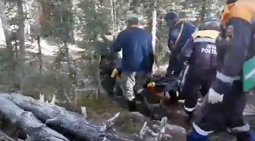 Horror w parku narodowym. 16-latek został rozszarpany przez niedźwiedzia