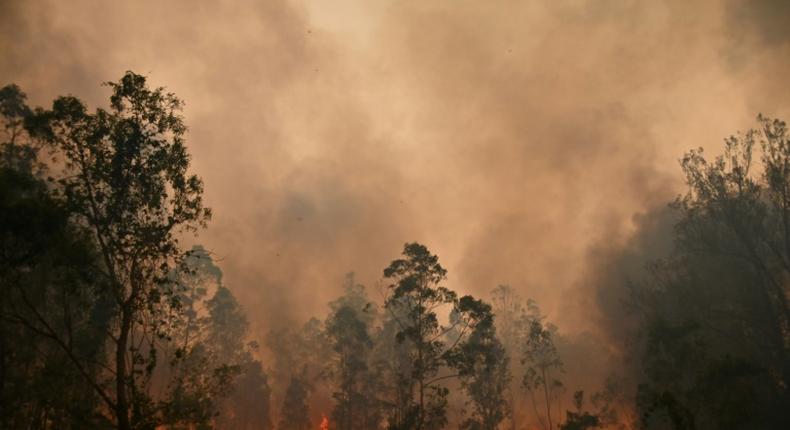 More than 100 fires were still burning across New South Wales and Queensland on Sunday, including dozens of blazes that remained out of control