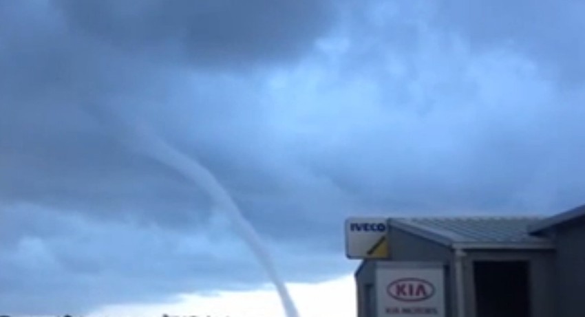 Pijavica na dalmatinskom primorju