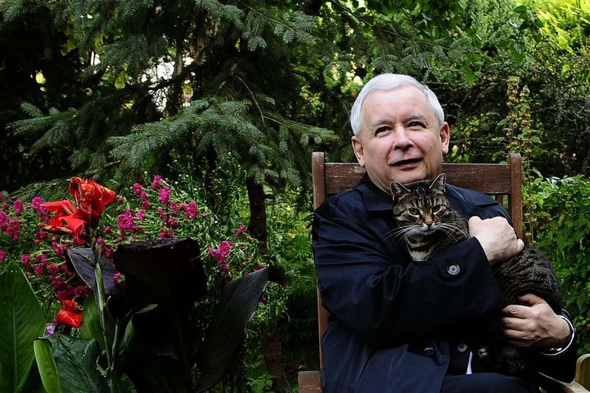 Szok! Kaczyński nie zdał z klasy do klasy! Kto uznał mu maturę?!