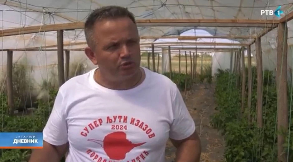 Živojin Antić, organizator takmičenja