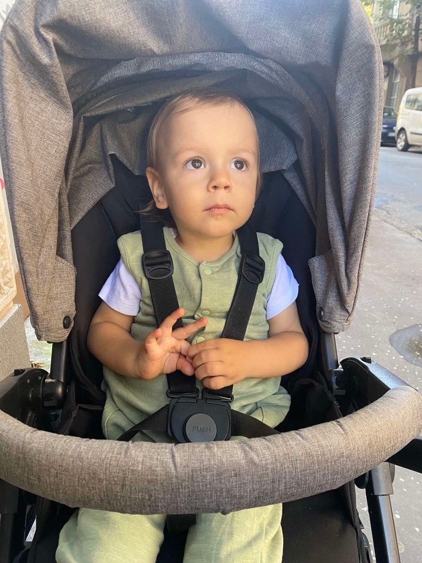 Lav je svakim danom bolje posle genske terapije koju je primio u Beogradu