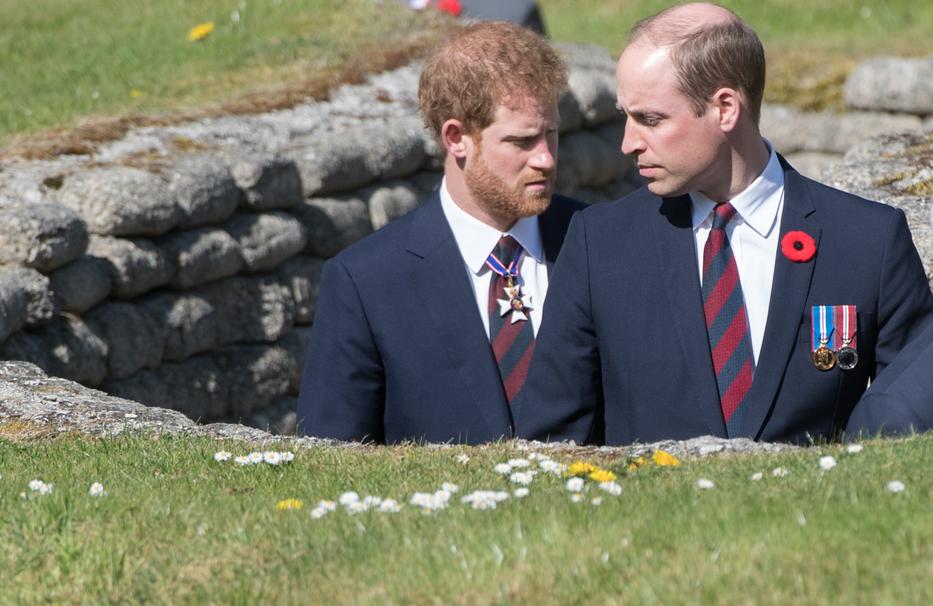 Harry és Vilmos herceg sokáig jó testvérnek tűntek, de kiderült, régóta megromlott a viszonyuk /Fotó: GettyImages