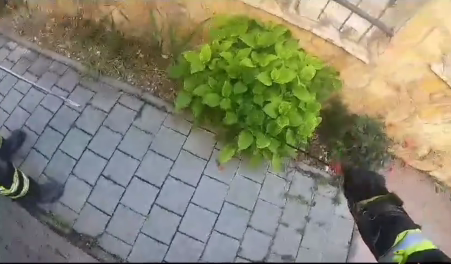 Hasiči si museli poradiť s hadom.