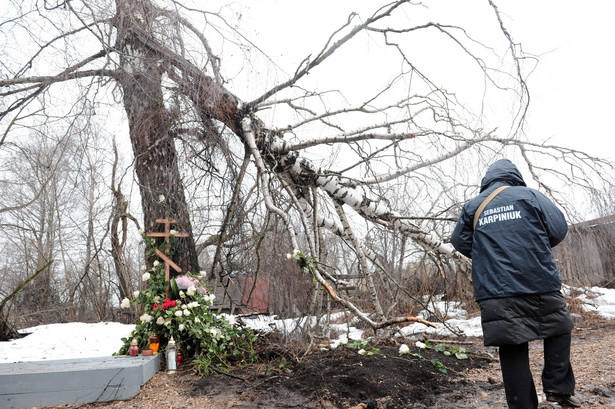 "Brzoza w Smoleńsku została złamana na długo przed katastrofą"