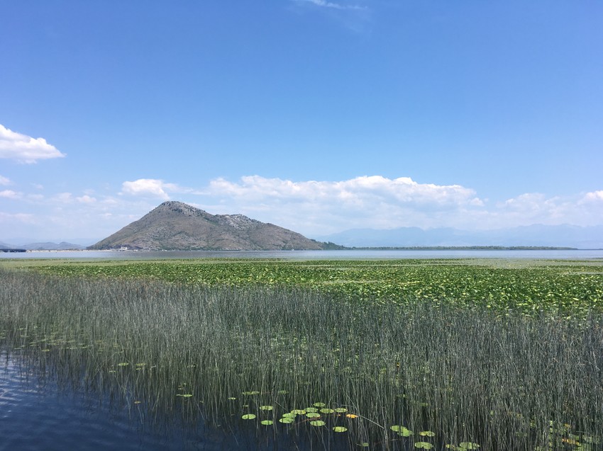 Skadarsko jezero