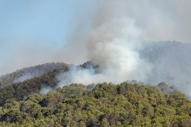 Blisko 40 proc. tegorocznych pożarów w UE przypada na Hiszpanię