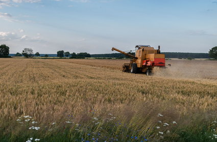 Rekordowe poparcie PiS wśród rolników