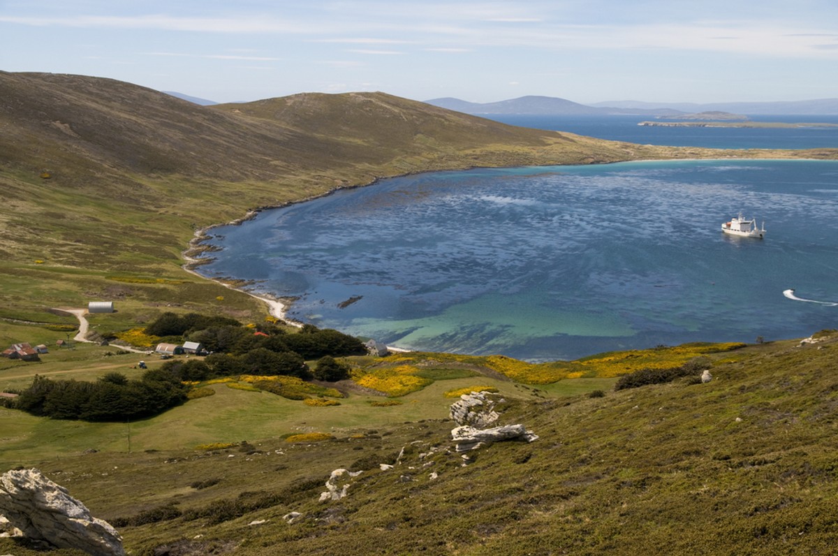 Falklandy