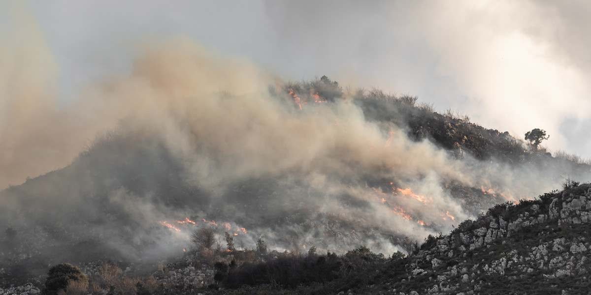 Pożar lasu w Asturii