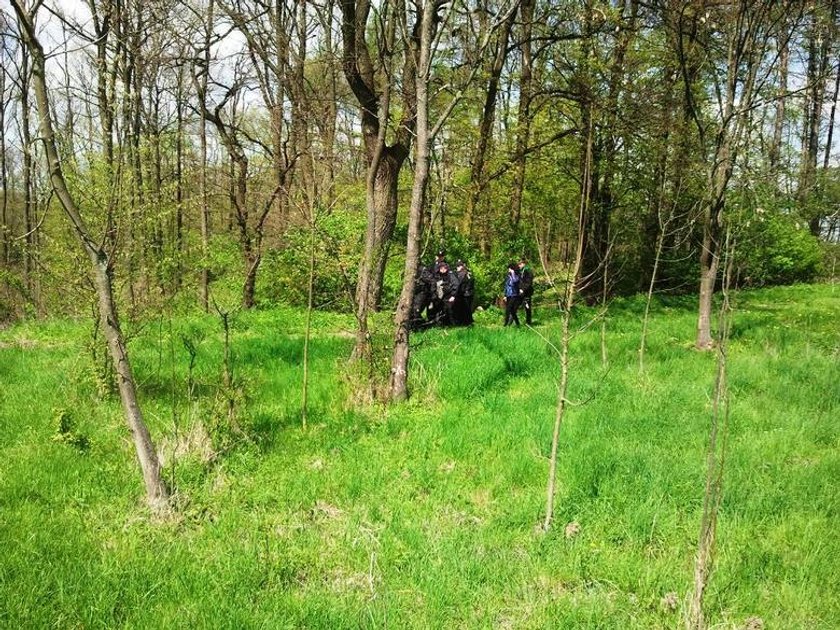 Staruszek zaginął w lesie. Na 3 dni ugrzązł w błocie