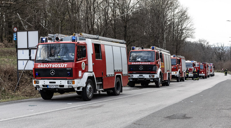 Az orosházi hivatásos tűzoltók végezték a műszaki mentést / Illusztráció: Zsolnai Péter