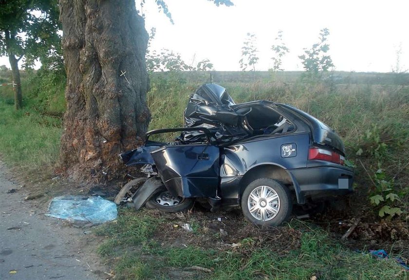 Bracia zginęli na tym samym drzewie