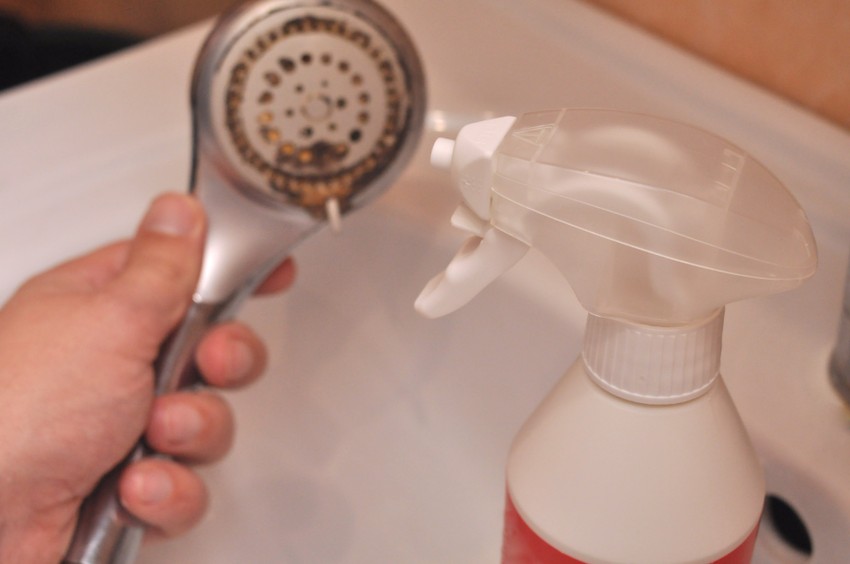 Legionela se razmnožava u toploj vodi, a bolest koju izaziva može da bude fatalna za pojedine grupe bolesnika