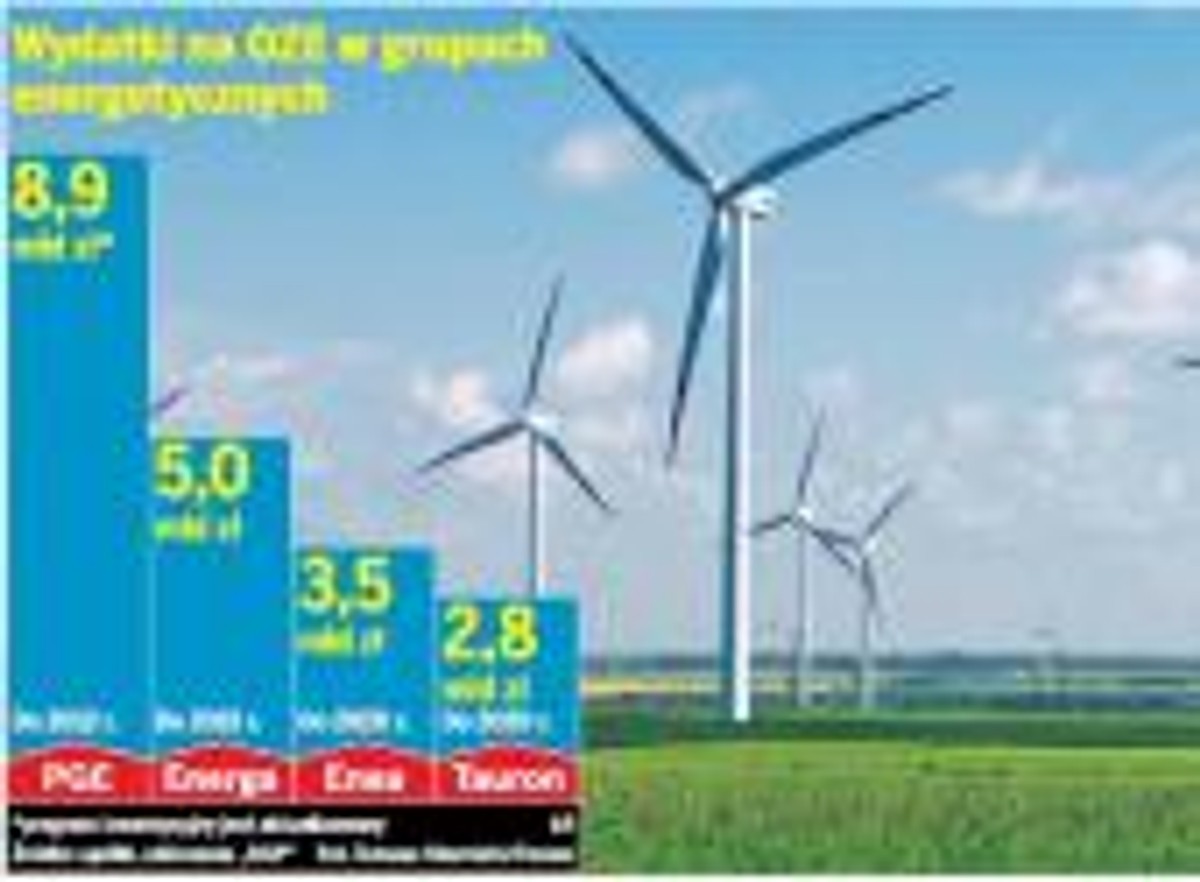 Wydatki na OZE w grupach energotycznych