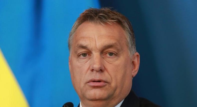 Hungarian Prime Minister Viktor Orban was one of the few national leaders to openly support Trump's White House campaign