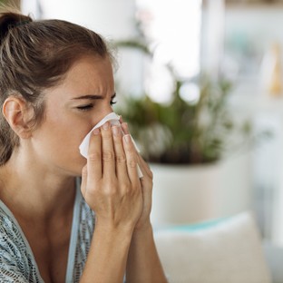 Minden 4. magyart érint az allergia – így találhatjuk meg gyorsan a valódi okait