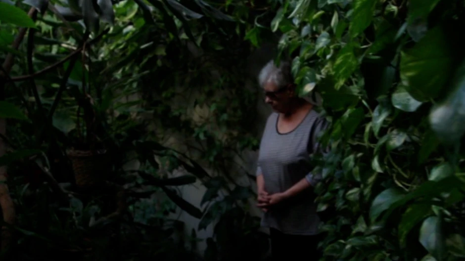 Bašta u zgradi u Novom Sadu