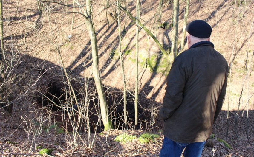 Bunari zjape otvoreni u sred šume